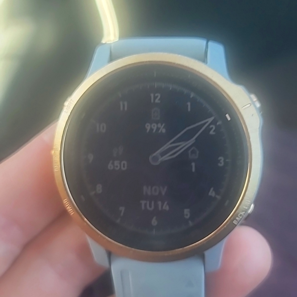 Fenix 6s Sapphire